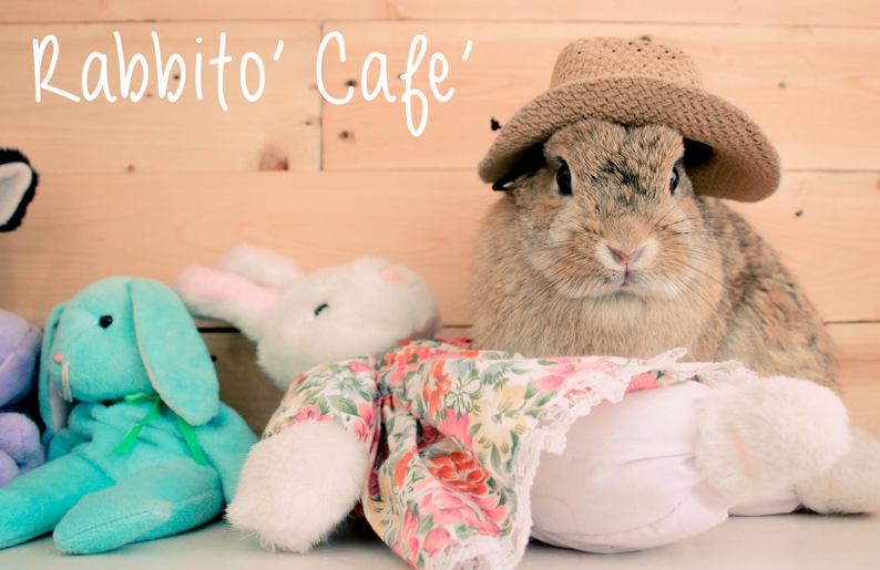 Rabbito Cafe